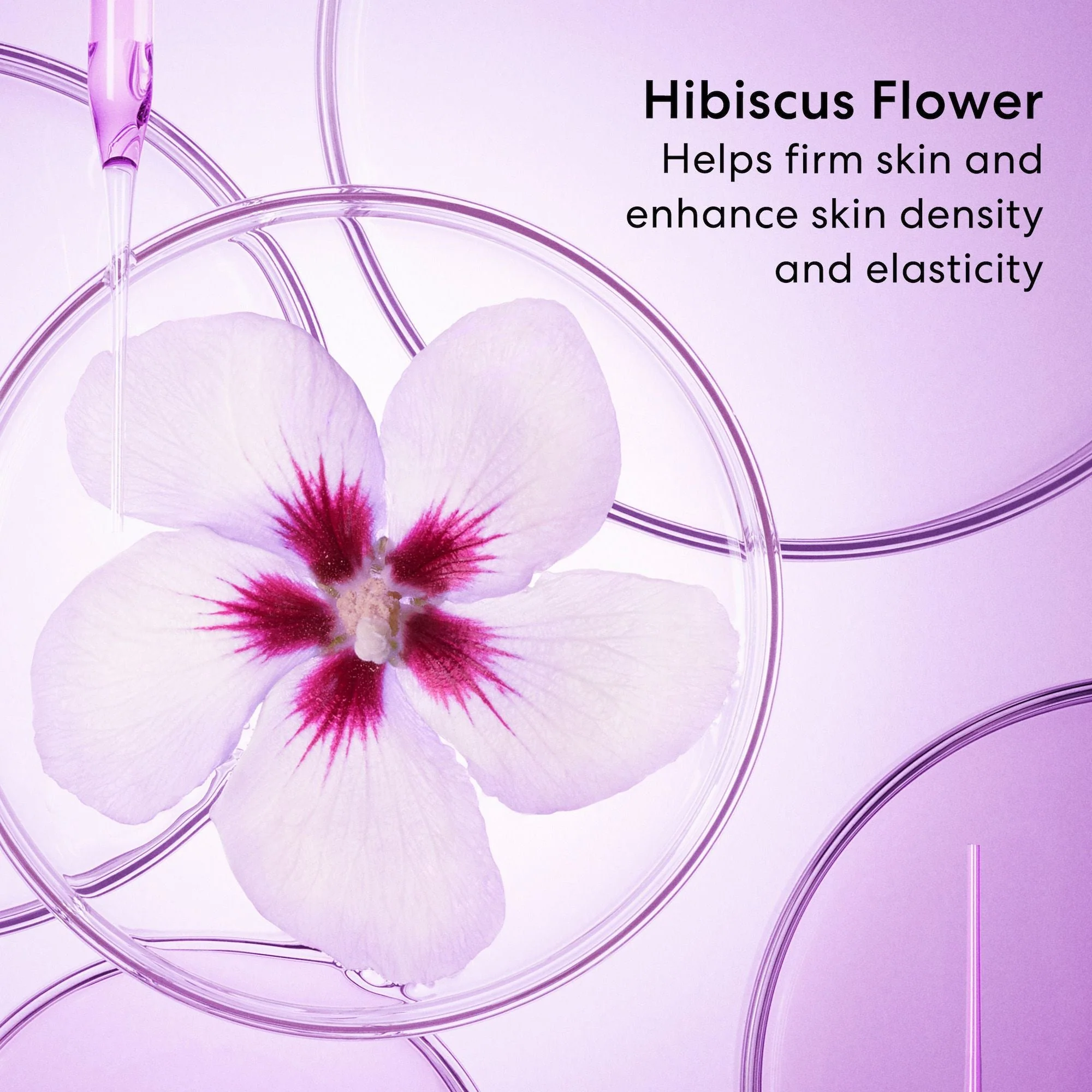 AGELESS 10% Phyto ProCollagen Firming Sleeping Mask - Image 3